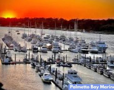 Palmetto Bay Marina